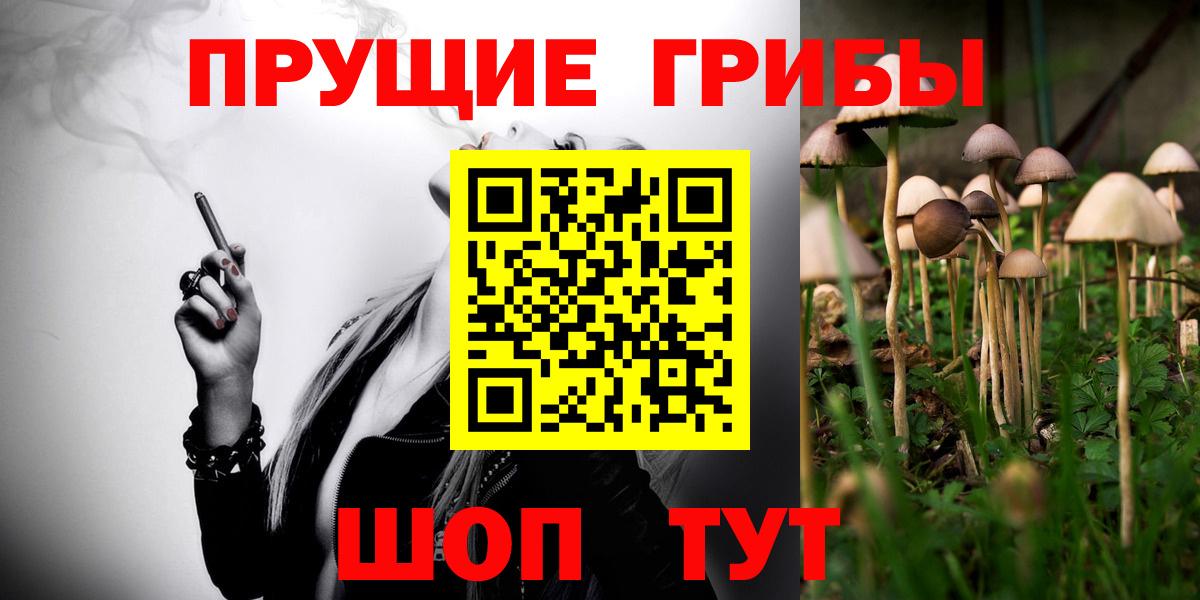 Галлюциногенные грибы прущие грибы Можга